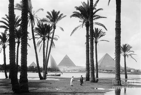 Pyramids And The Nile River Photograph by Bettmann - Fine Art America