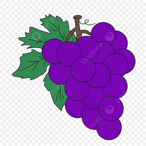 Grapes Fruit Clipart Hd PNG, Fruit And Vegetable Grape Clipart, Fruits ...