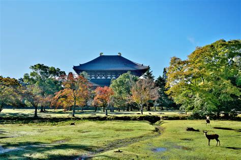 Nara | Travel Japan - Japan National Tourism Organization (JNTO)