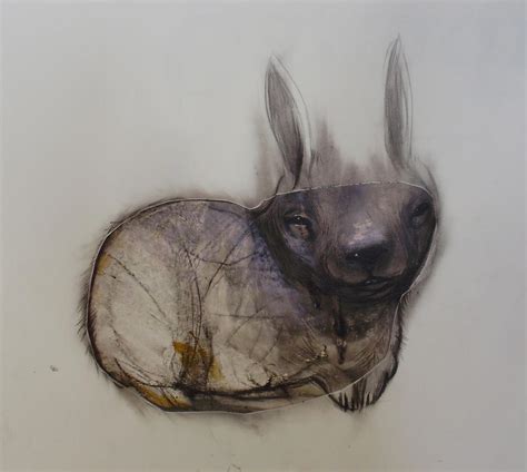 Leporidae by StefanThompson on DeviantArt