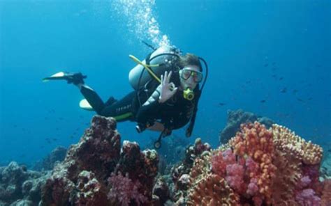 Favorable Scuba diving in Guam in Guam - reviews, best time to visit ...