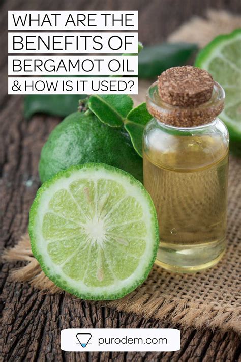 Bergamot Essential Oil - What are the benefits? | Purodem