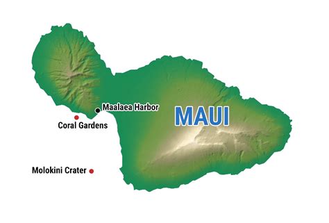 Maui Snorkeling - Molokini Crater & Turtle Gardens