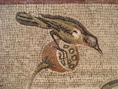 A finer bird from the Aquatic Mosaic, Pompeii, now in the Naples Museum ...