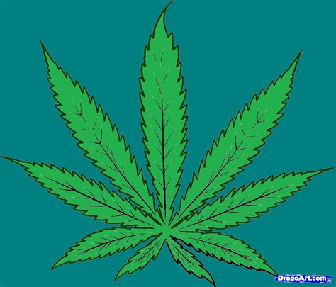 how-to-draw-cannabis,-cannabis-leaf-step-4A by bigkrocks on DeviantArt