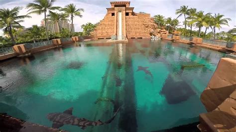 Atlantis water Park Bahamas — Steemit