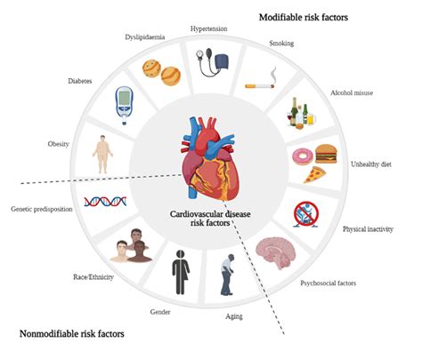 Cardiovascular disease risk factors. Created with BioRender.com ...