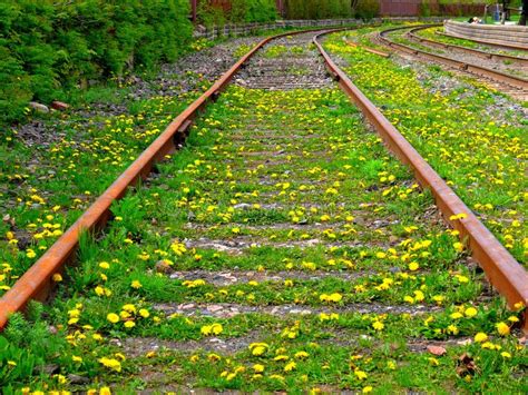 Abandoned railroad stock photo. Image of country, metal - 187223204