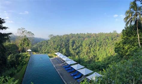 Alila Ubud is Bali’s luxury rainforest resort that ticks our boxes ...