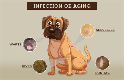 Bumps On Eyeball Causes Types And Treatment