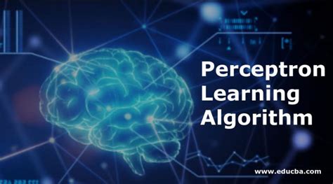 Perceptron Learning Algorithm | Guide to Perceptron Learning Algorithm