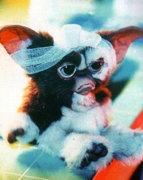 87 Gremlins so cute. ideas | gremlins, gremlins gizmo, favorite movies