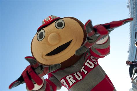 Ohio State Graduate Remembers Naming Mascot Brutus Buckeye Who Turns 50 | WOSU Radio