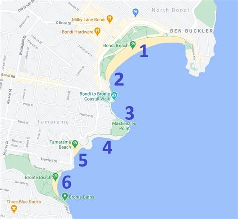 The Bondi to Bronte Coastal Walk (Highlights + Map)