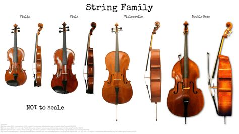 String Instruments – The Complete Guide – soundtrack.academy