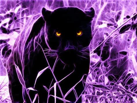 Panther Cat Spirit Wild Cats Mystical Animals