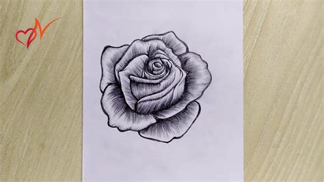 Rose Drawings In Pencil Step By Step