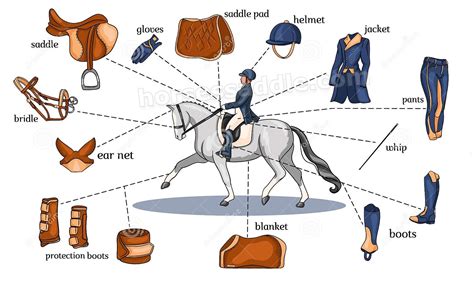 Equipment for Horse Riding: What do you need?