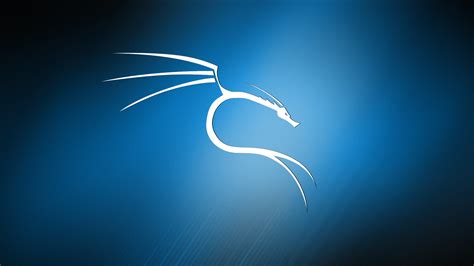 Kali Linux Windows Wallpapers - Top Free Kali Linux Windows Backgrounds ...