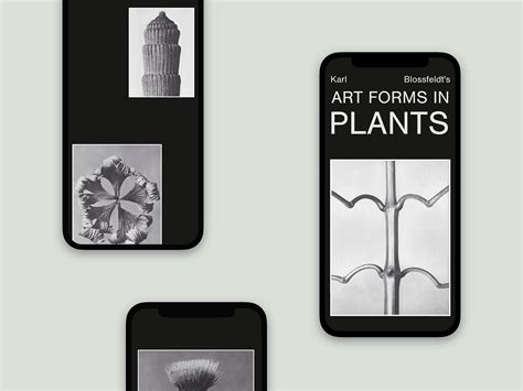 Art Forms in Plants by M. Rodzik on Dribbble