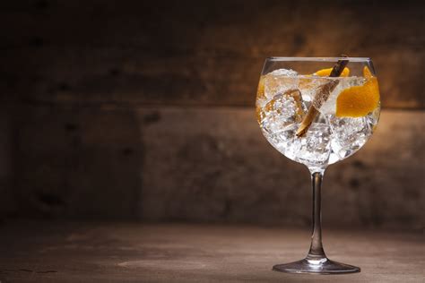 Top 22 Gin And Tonic Variations To Keep Your Cocktails Interesting | Food For Net