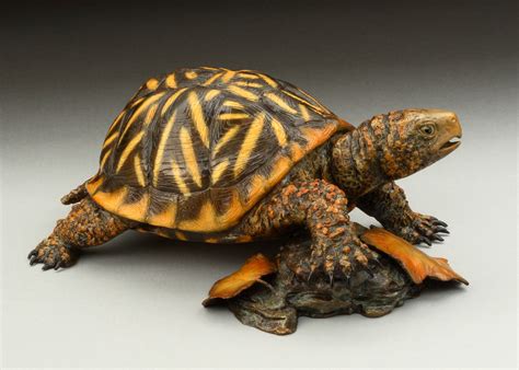 Ornate Box Turtle (SOLD OUT) - ddmason.com Blog