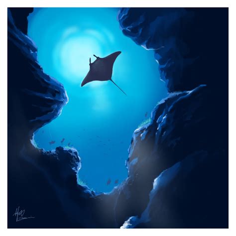 Looking at the beautiful manta ray ! #sketch #art #artist #fish #sea #ocean #seaweed #clear # ...