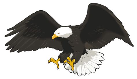 Eagle vector png, Eagle vector png Transparent FREE for download on ...