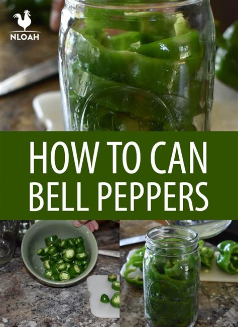 How to Can Bell Peppers - Easy Recipe | Recipe | Canning bell peppers, Canning food preservation ...