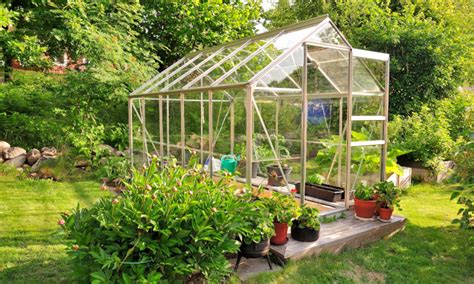 The 50 Best Greenhouse Plants To Grow Each Year - Epic Gardening