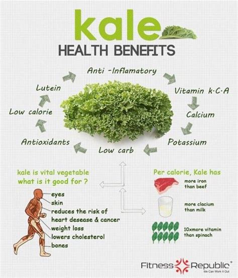 Kale Nutrition Infographic | Kale benefits health, Nutrition ...