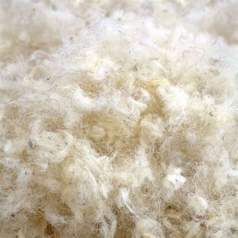 16 Different Types of Wool Fabric