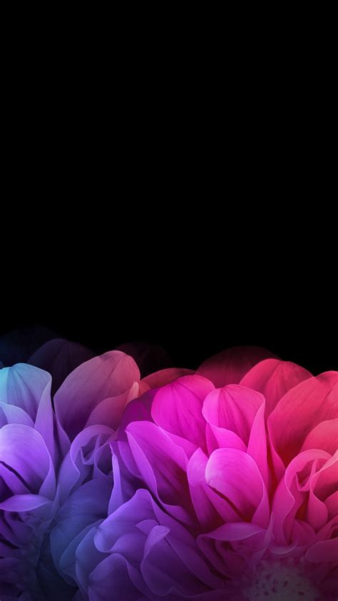 [46+] Pink And Black Flower Wallpapers on WallpaperSafari