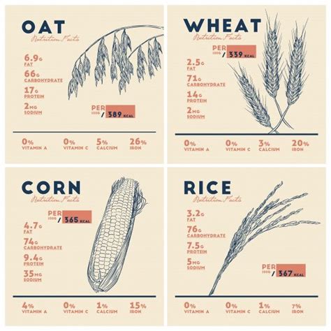 Premium Vector | Health benefits of cereals, rice, wheat, oat and corn . | Corn nutrition facts ...