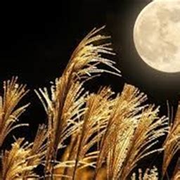 Super Harvest Moon 2023: Witness the Last Supermoon of the Year! – Archyde