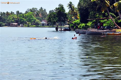 Ashtamudi Lake View TrampTraveller