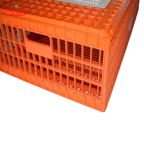 efficient chicken crates for sale factory for farm | Trust&Deal Breeding Equipment