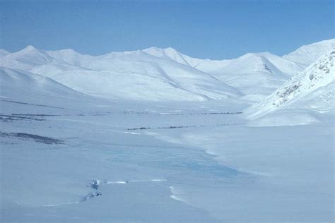 The Tundra Biome: Facts, Pictures & Information; A Land Of Frozen Beauty