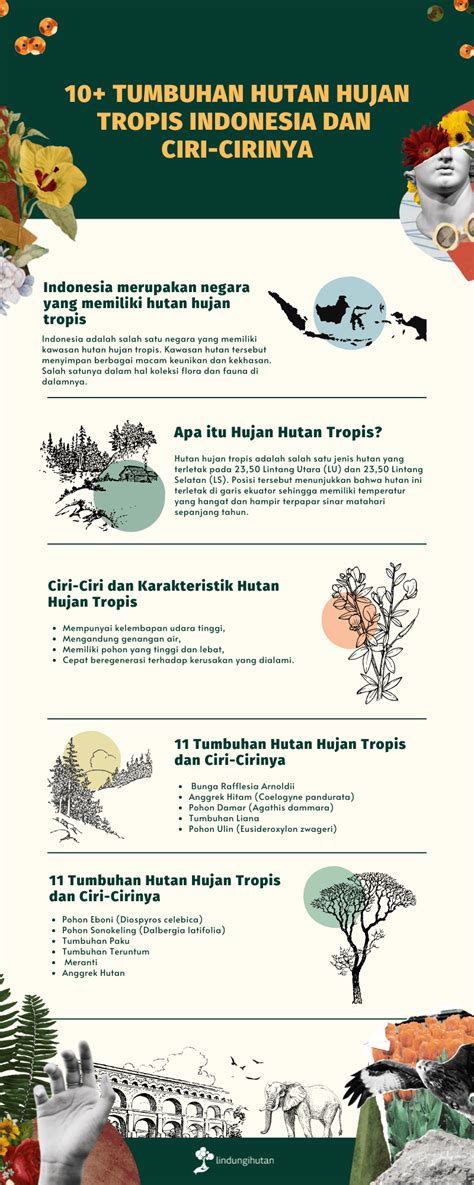 10+ Tumbuhan Hutan Hujan Tropis Indonesia dan Ciri-cirinya