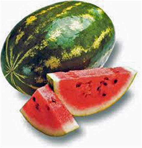 WATERMELON SEEDS, FLORIDA GIANT, HEIRLOOM, ORGANIC SEEDS, LARGE & SWEE – Country Creek LLC