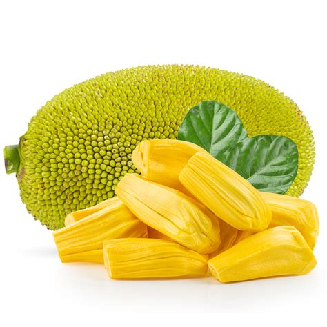 Jackfruit Whole ~14 kg | Tropical and rare fruits, premium local vegetables and meat