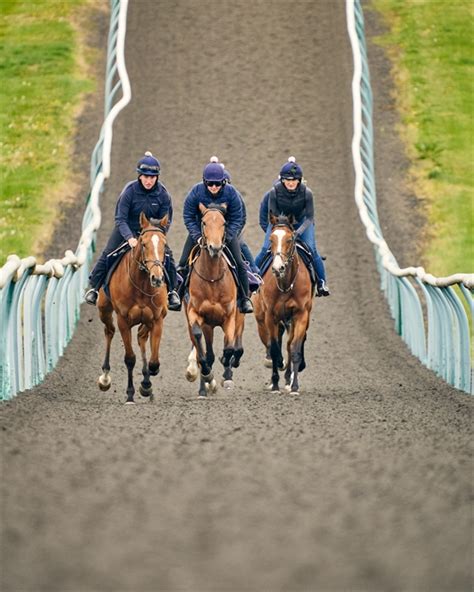 Welcome to Ed Walker Racing | Upper Lambourn