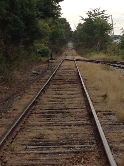 Abandoned rail road tracks near my house | Train tracks, Abandoned ...