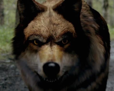 Image - Maddy.jpg | Wolfblood Wiki | FANDOM powered by Wikia