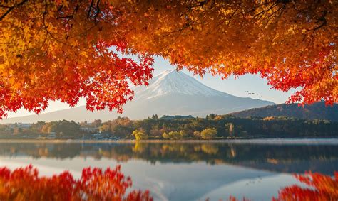 Mount Fuji in autumn sunrise - Imgur | Japan, Kleuren, Herfst