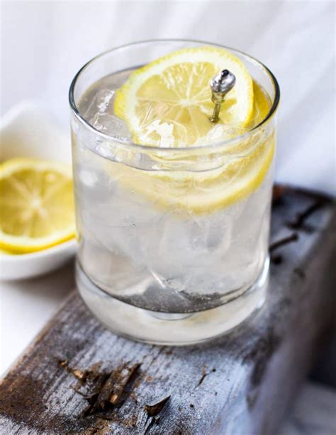 Tequila Lemon Sour Cocktail Recipe | Park Ranger John