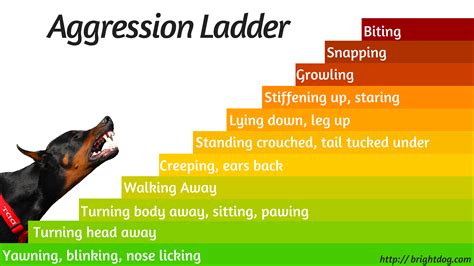 Dog Aggression Ladder - Dog Training Word