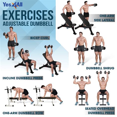 Lower Ab Exercises With Dumbbells at Barbara Guthrie blog