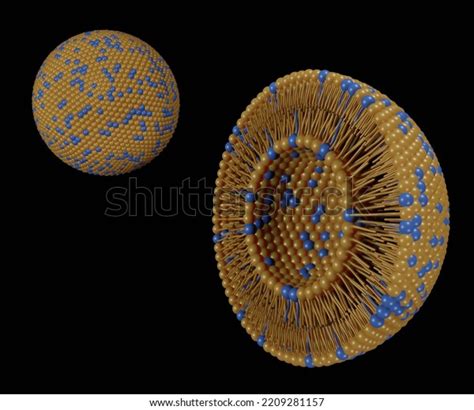 59 Vesicular Transport Images, Stock Photos & Vectors | Shutterstock