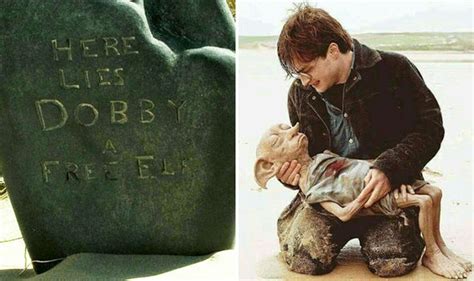 Harry Potter: JK Rowling apologises for killing off Dobby | Films | Entertainment | Express.co.uk